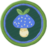 Advanced Mycology Badge