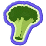 Naturalist Badge